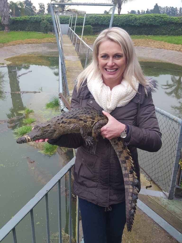 crocodiles in south africa